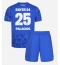 Bayer Leverkusen Exequiel Palacios #25 Tredjedraktsett Barn 2025-26 Kortermet (+ Korte bukser)
