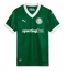 Palmeiras Hjemmedrakt 2025-26 Kortermet