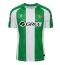 Real Betis Rodrigo Riquelme #17 Hjemmedrakt 2025-26 Kortermet Real Betis Rodrigo Riquelme #17 Hjemmedrakt 2025-26 Kortermet