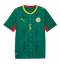 Senegal Idrissa Gueye #5 Bortedrakt VM 2026 Kortermet Senegal Idrissa Gueye #5 Bortedrakt VM 2026 Kortermet